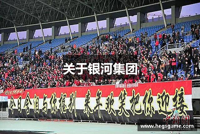 关于银河集团